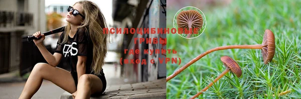дмт Абаза