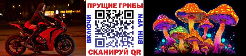 Псилоцибиновые грибы Cubensis  где купить   Усть-Катав 